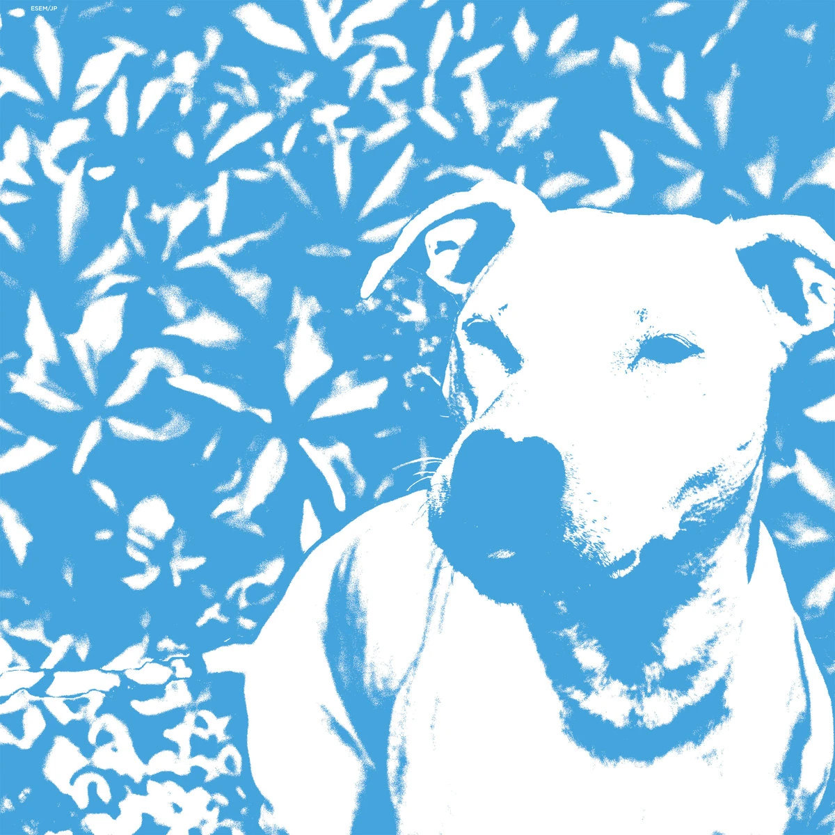 THE HIRS COLLECTIVE / JENNA AND THE PUPS "SPLIT"