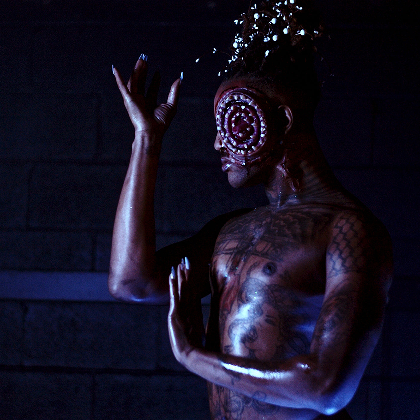 Welcome She-Nut to Get Better!