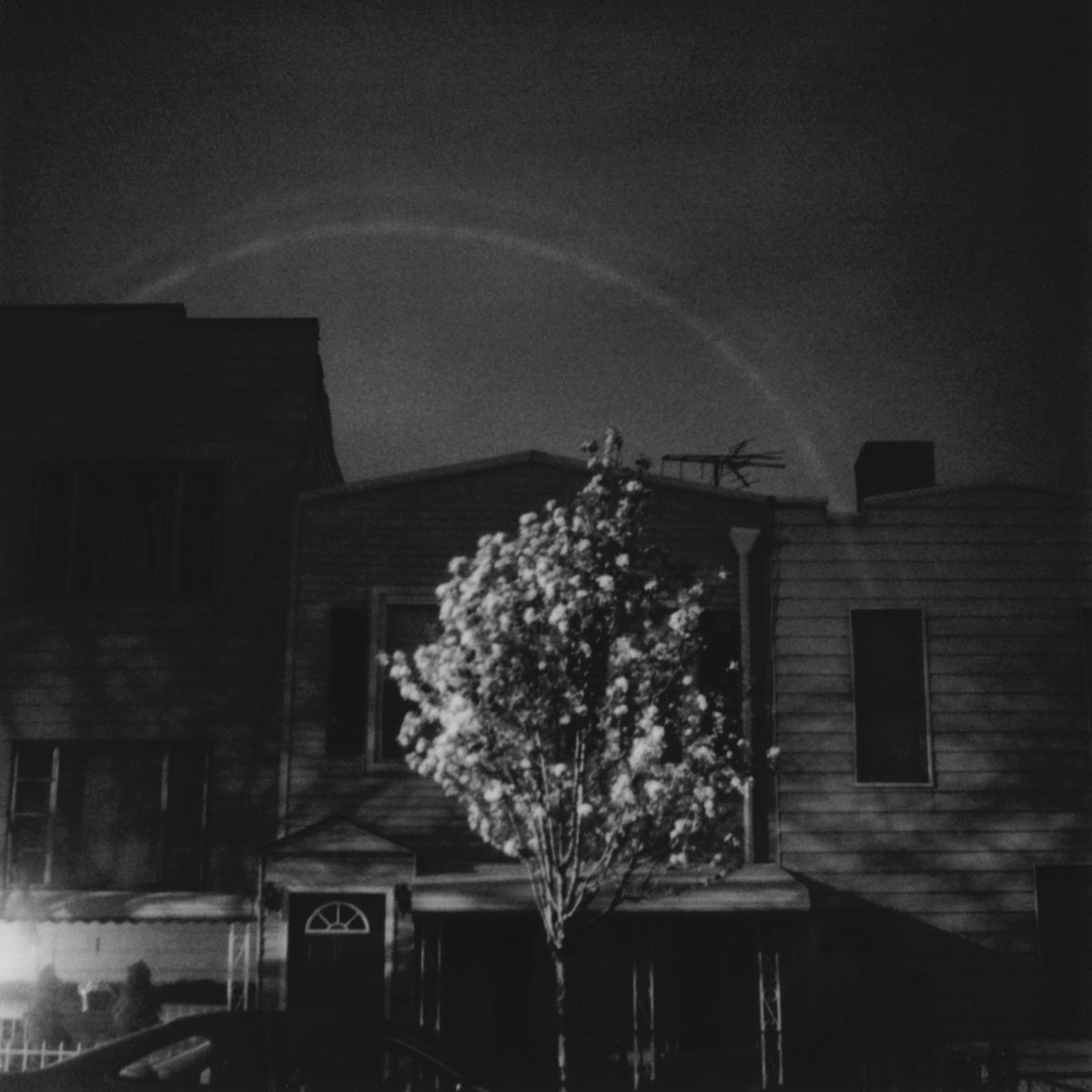 Open City &#39;Hands In The Honey Jar&#39;