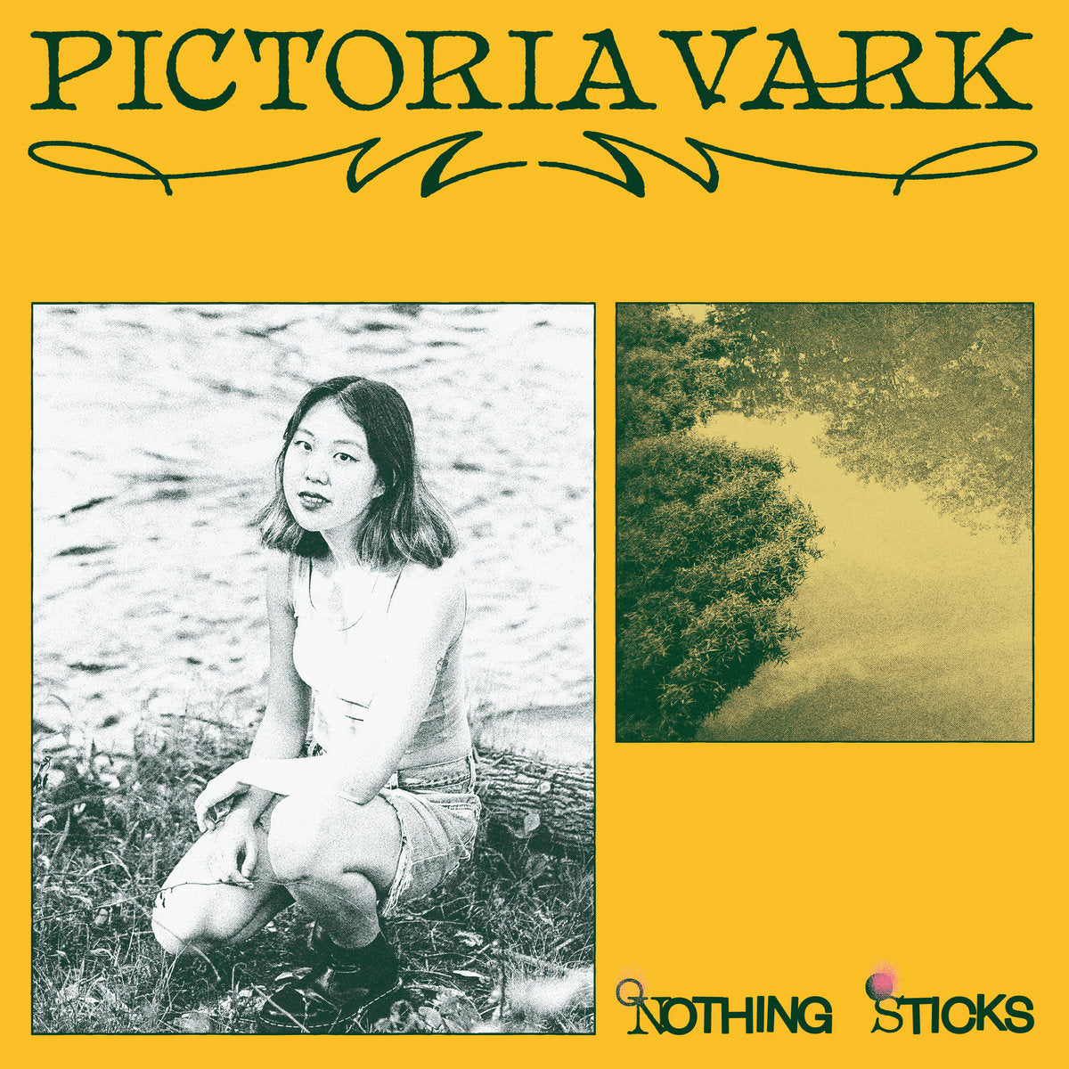 Pictoria Vark &#39;Nothing Sticks&#39; (Black Vinyl)